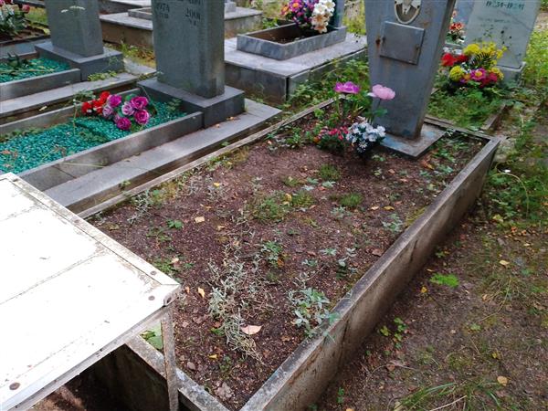 Любимов Павел Афанасьевич