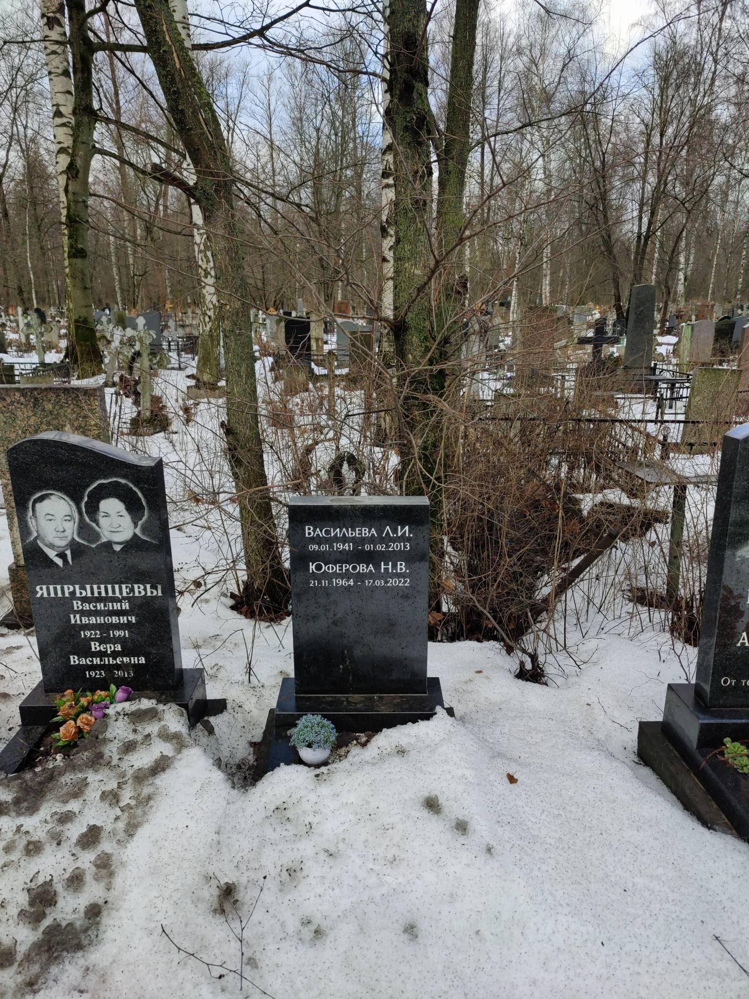 Васильева Л. И.