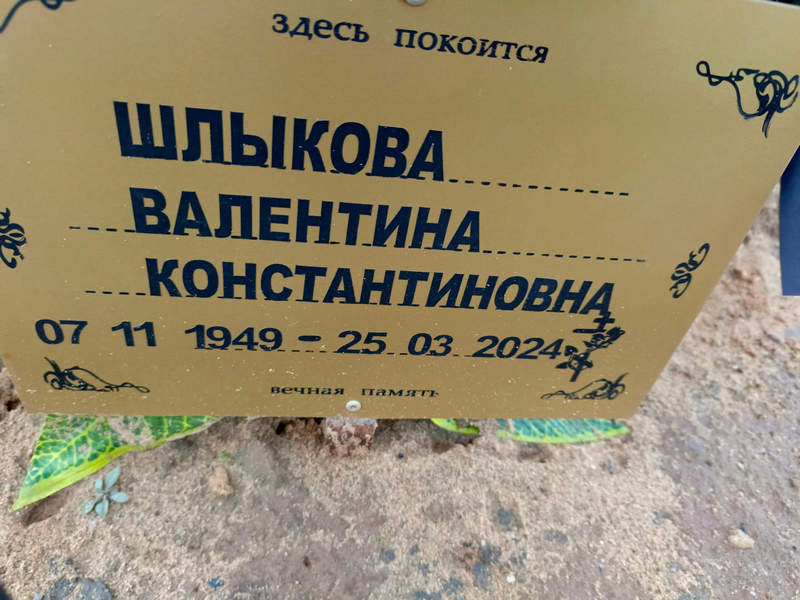 Шлыкова