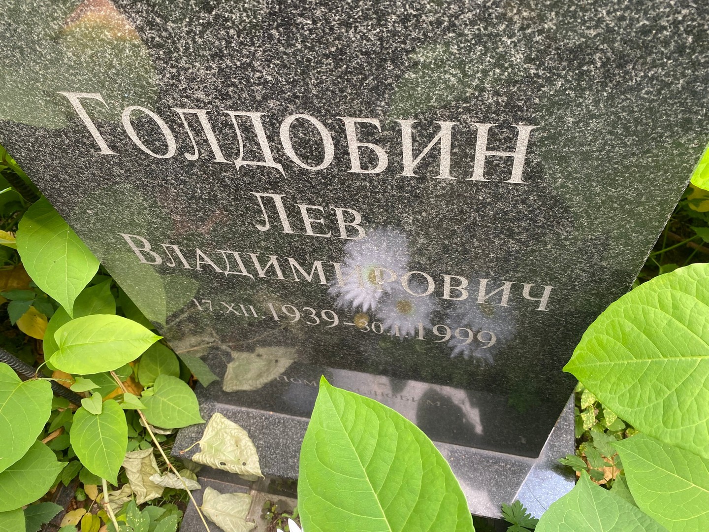 Лев Голдобин Владимирович