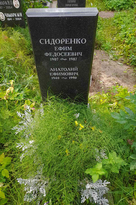 Сидоренко Анатолий Ефимович