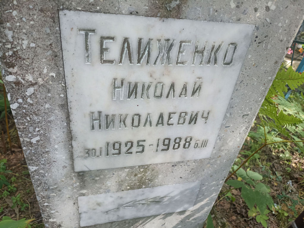 Телиженко Николай Николаевич