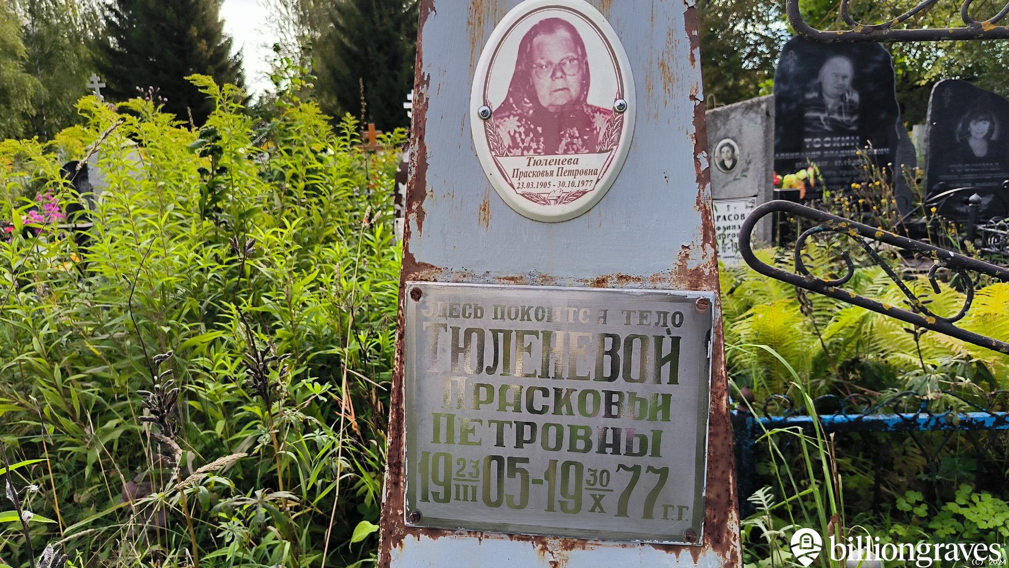 Тюленева Прасковья Петровна