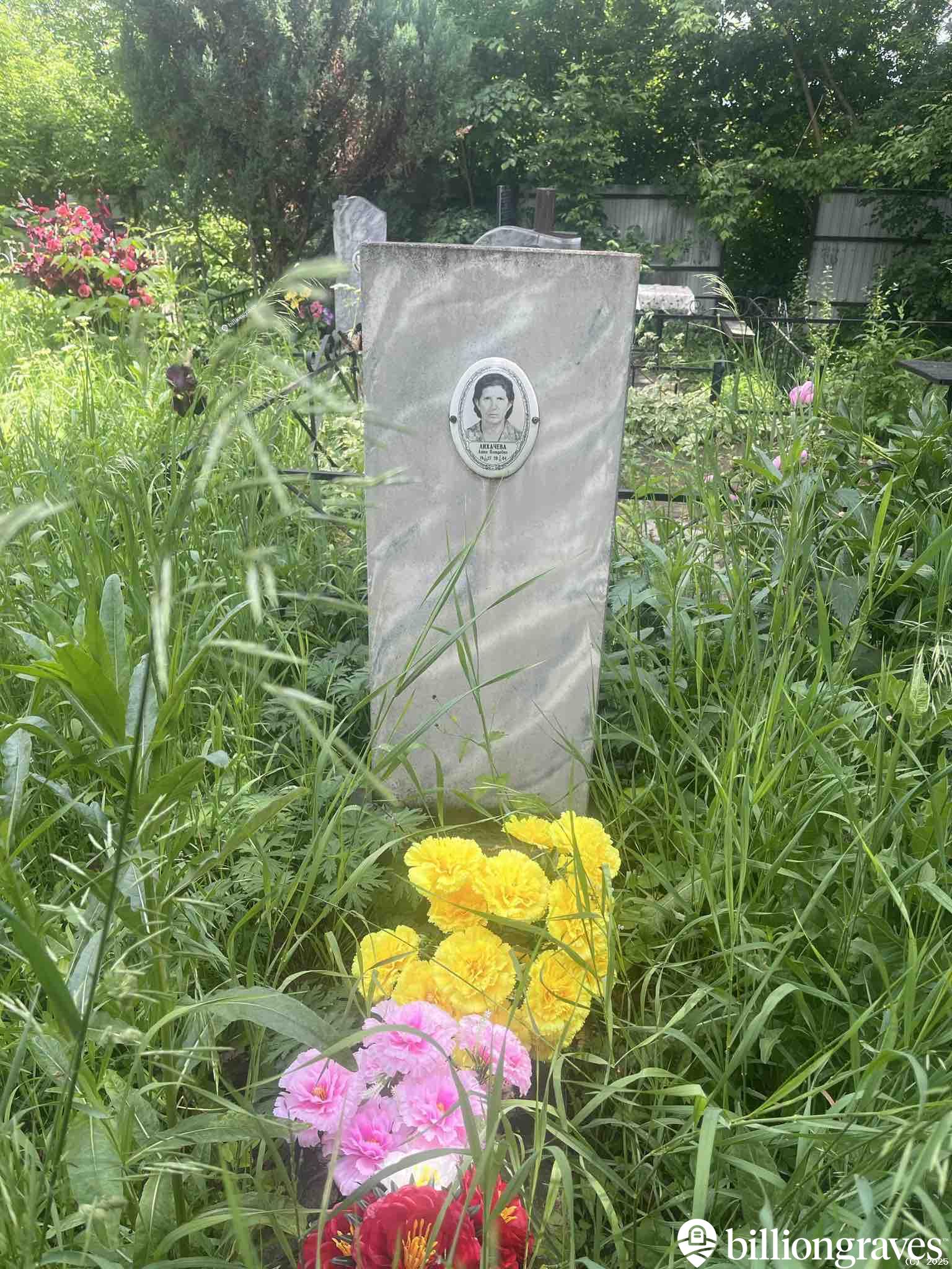 Лихачева Анна Петровна