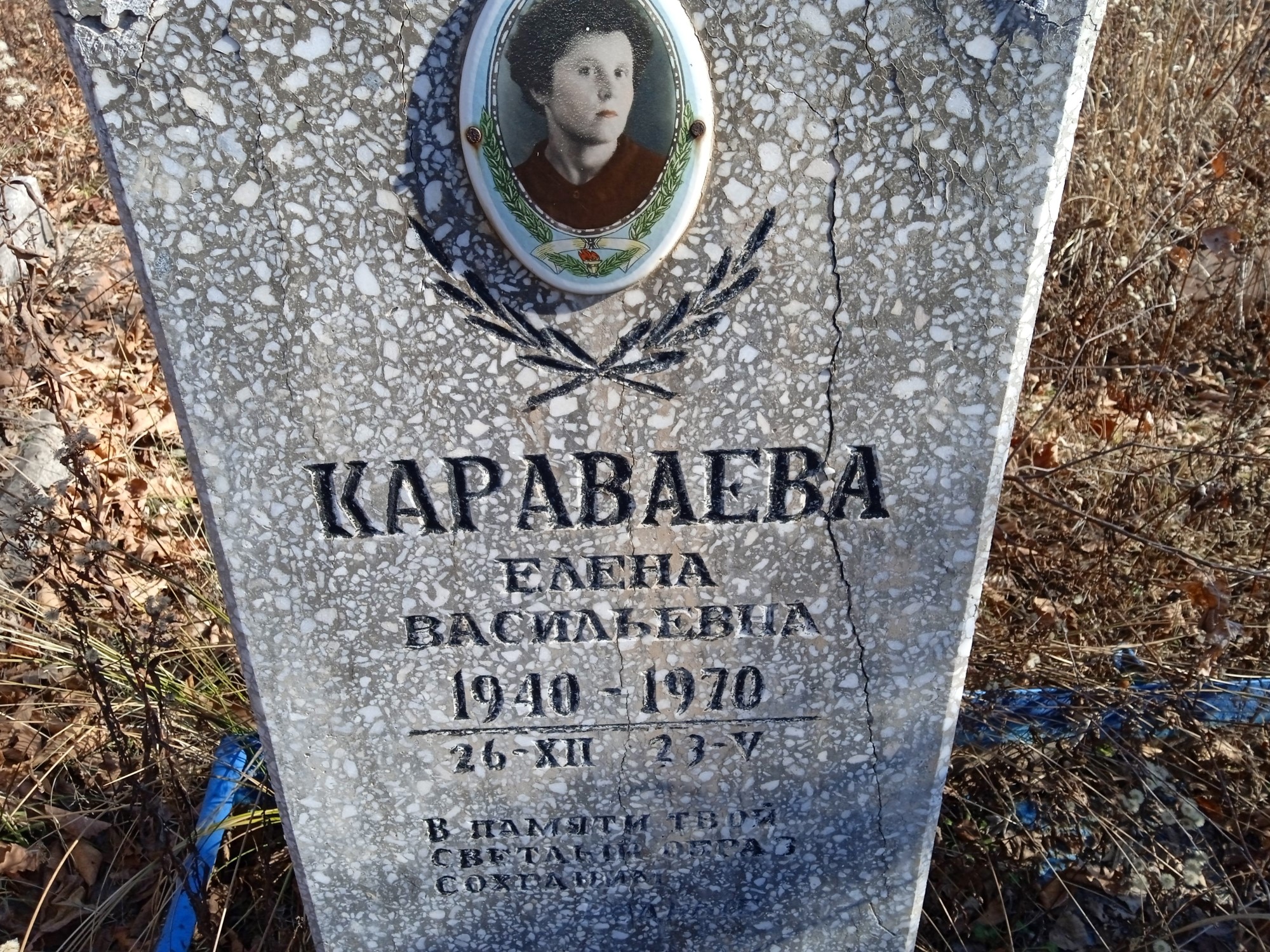 Караваева Елена Василеьвна