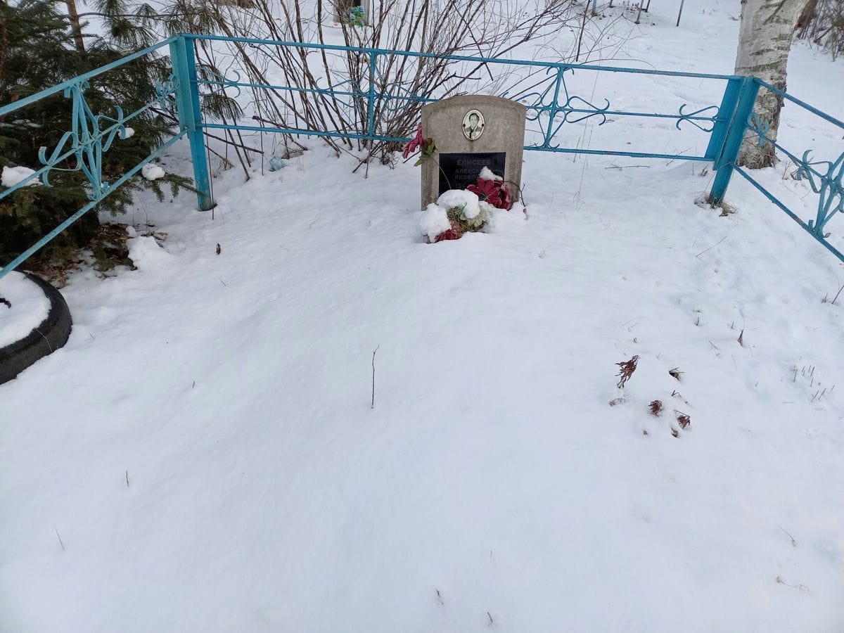 Елисеев Александр Яковлевич