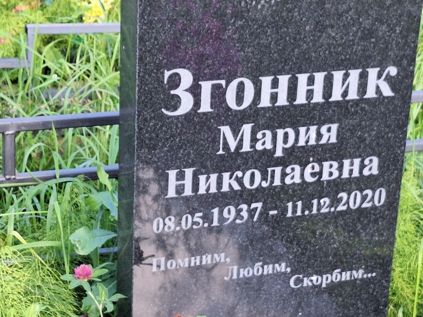 Згонник