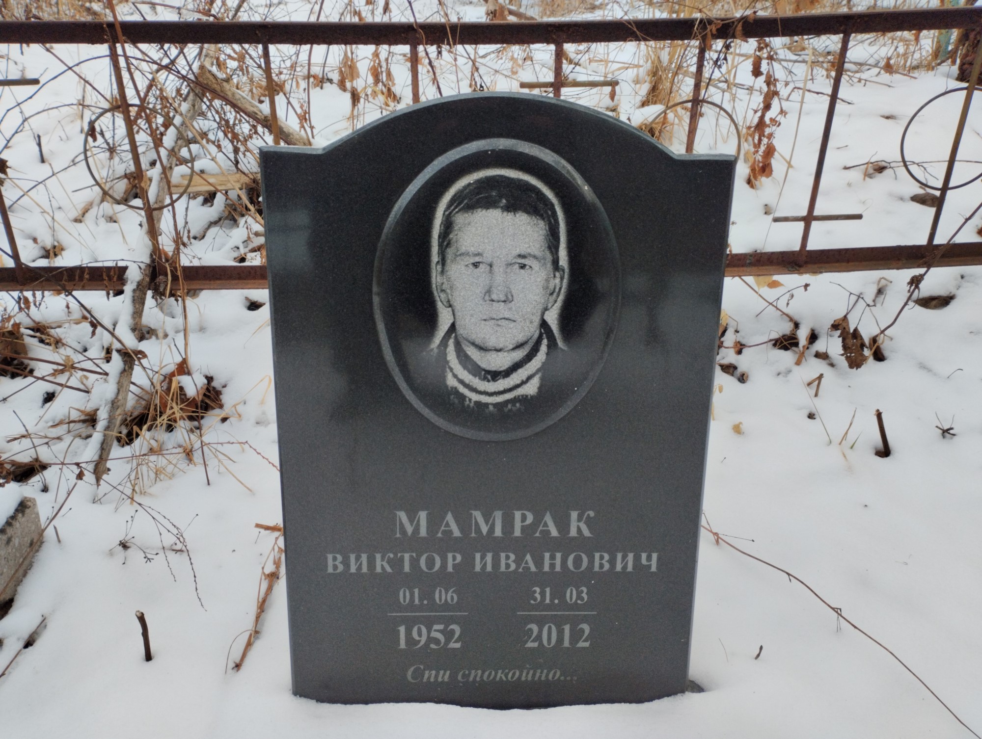Мамрак Виктор Иванович
