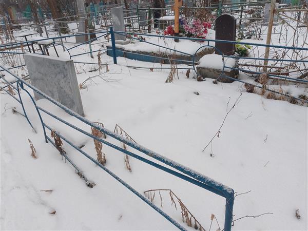 Никитин Николай Николаевич