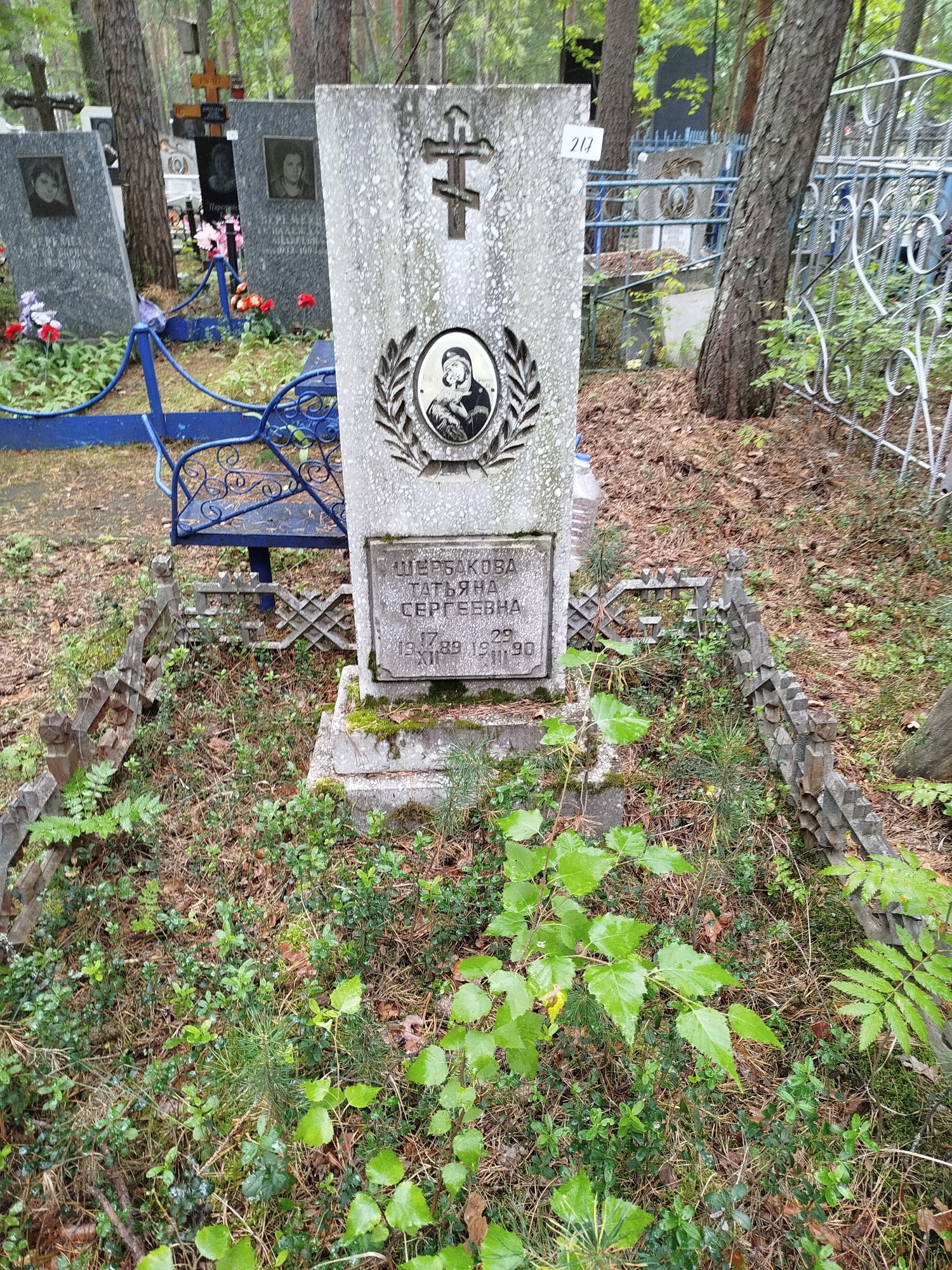 Щербакова Татьяна Сергеевна