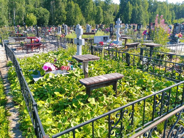 Нечкина Мария Андреевна