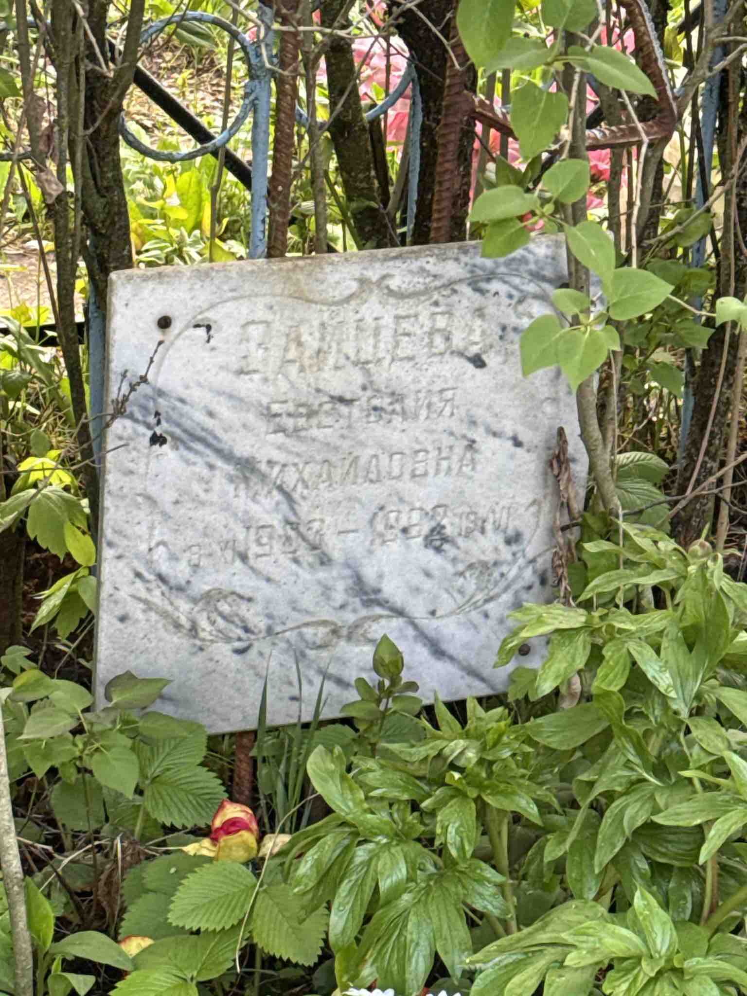 Зайцева Евстолия Михайловна