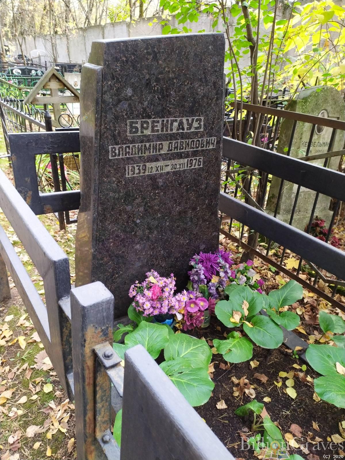 Бренгауз Владимир Давидович