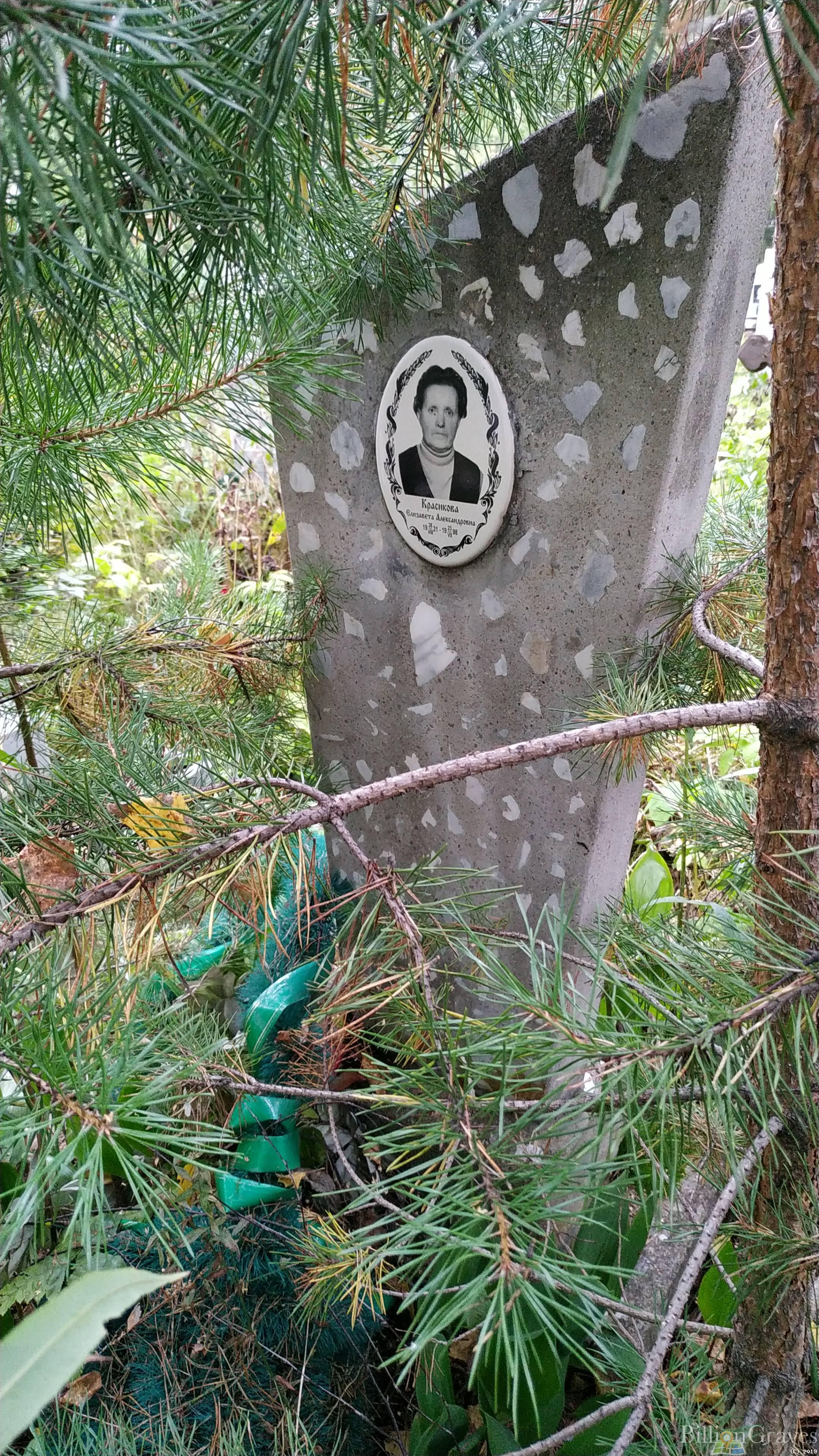 Красикова Елизавета Александровна
