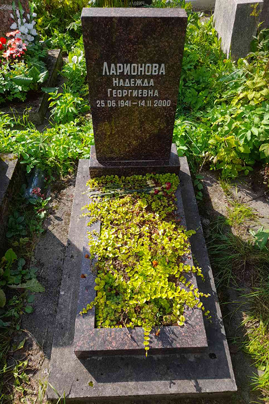 Ларионова Надежда Георгиевна