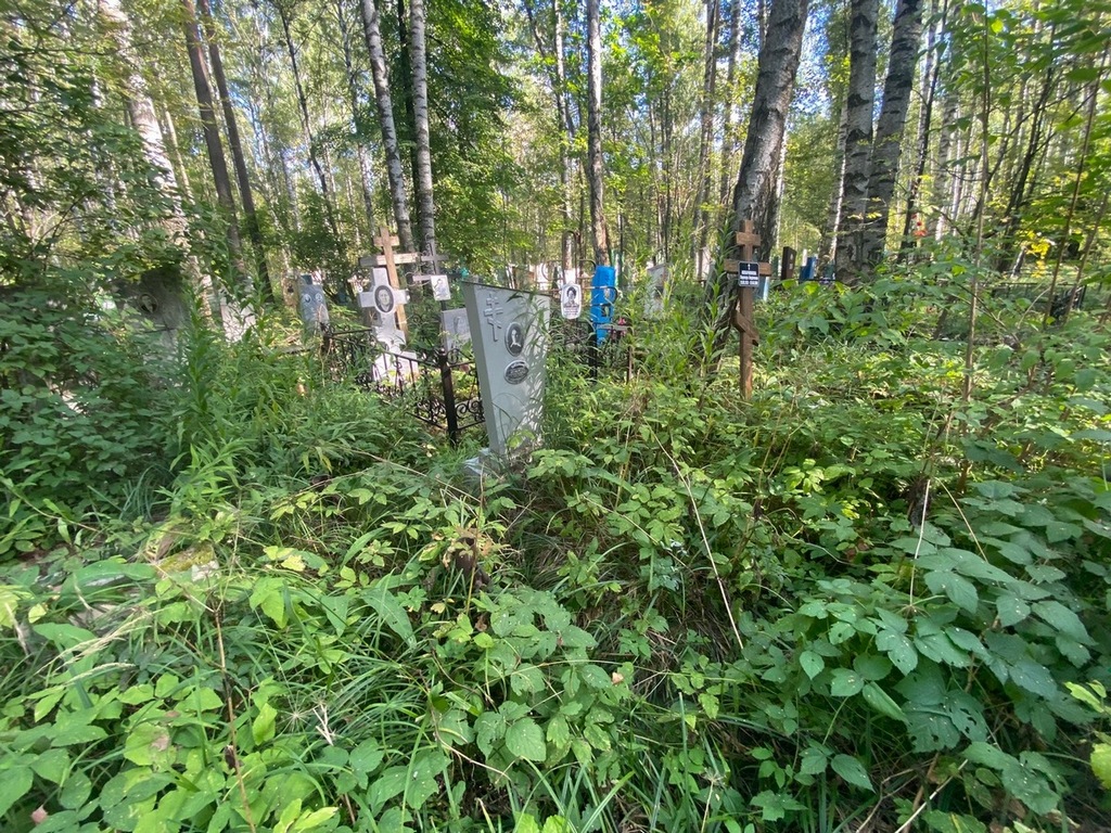 Серебрякова Елизавета Николаевна