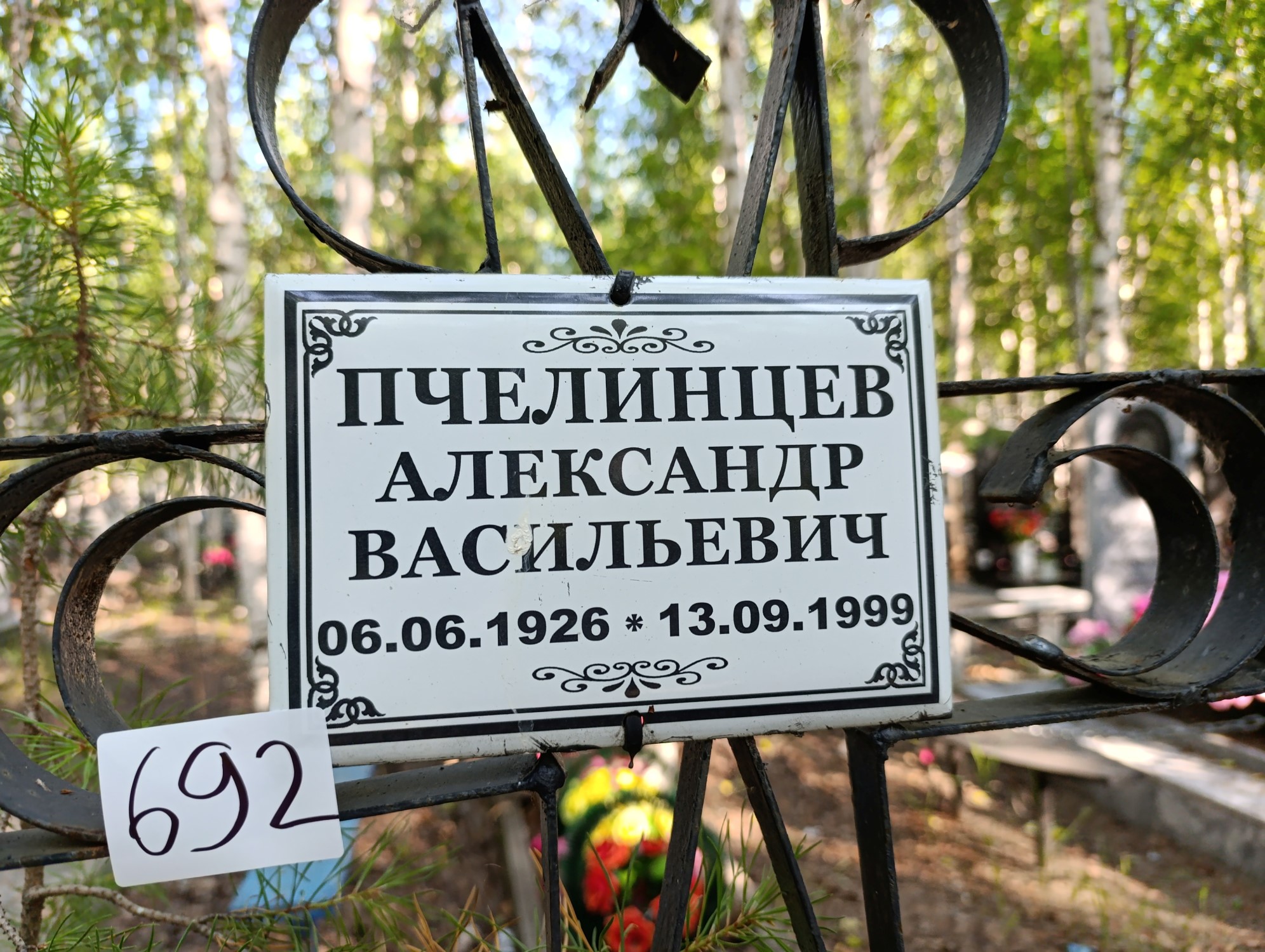 Пчелинцев Александр Васильевич