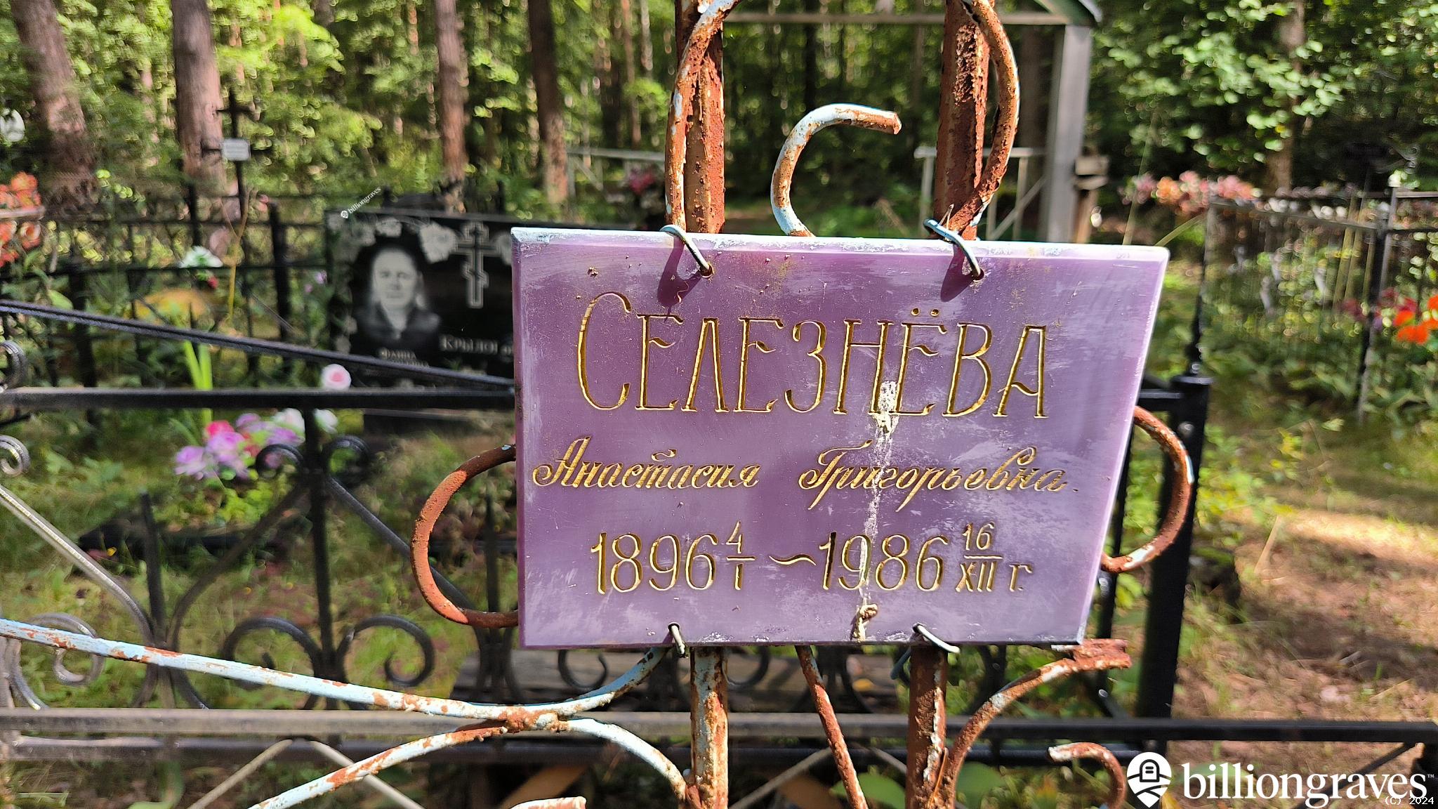 Селезнёва Анастасия Григорьевна