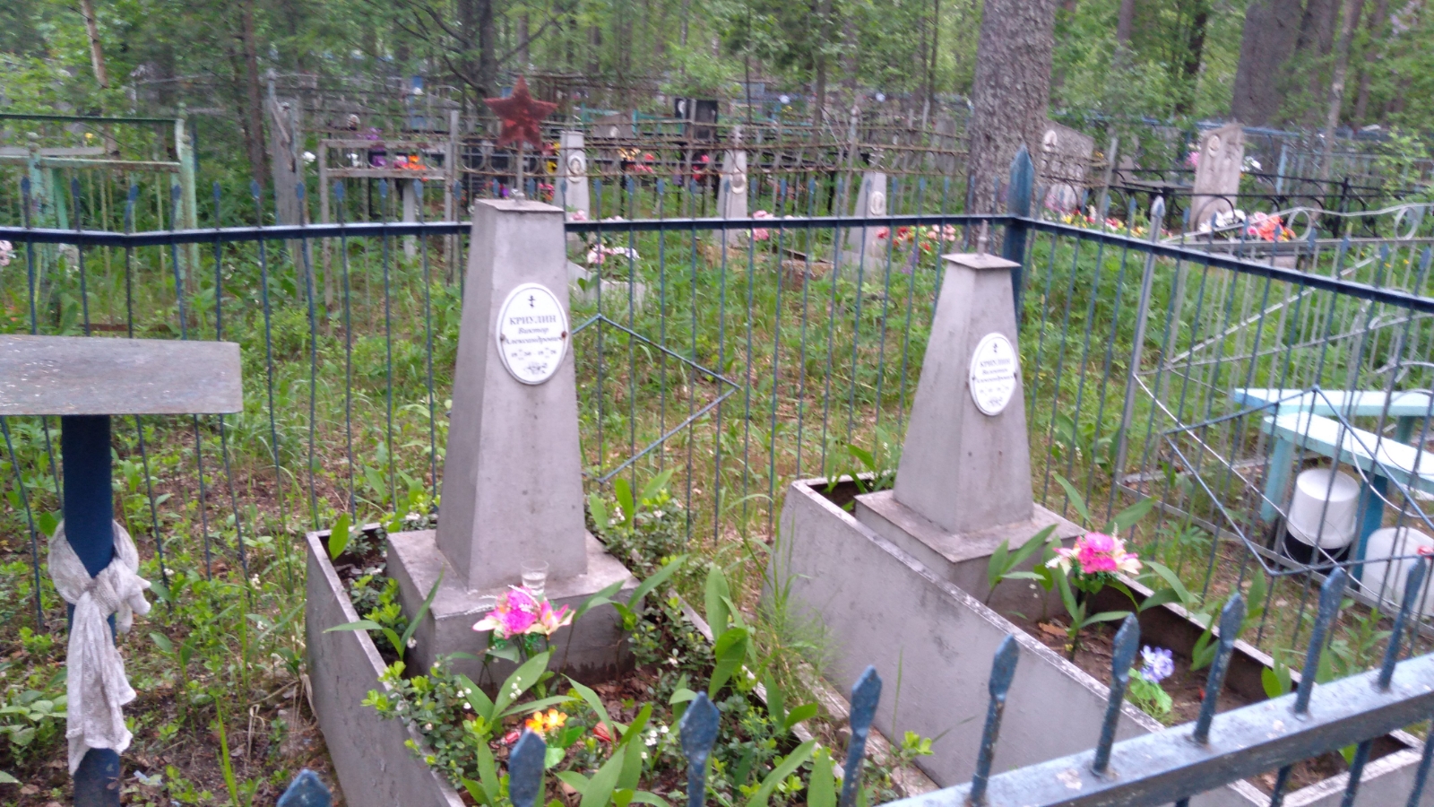 Криулин Виктор Александрович