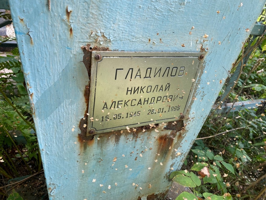 Гладилов Николай Александрович