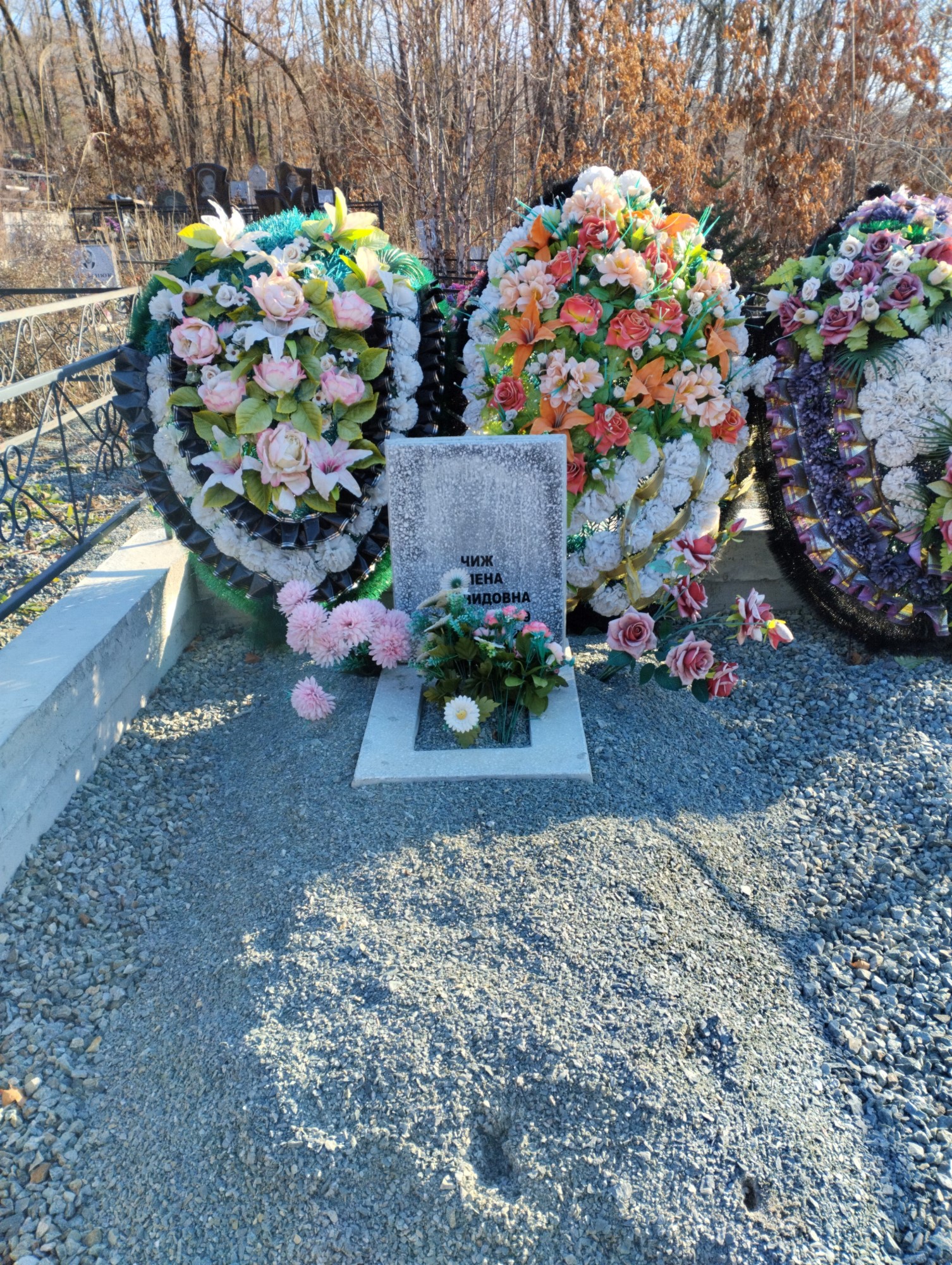 Чиж Елена Леонидовна