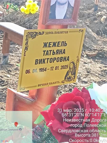Жежель Татьяна Викторовна