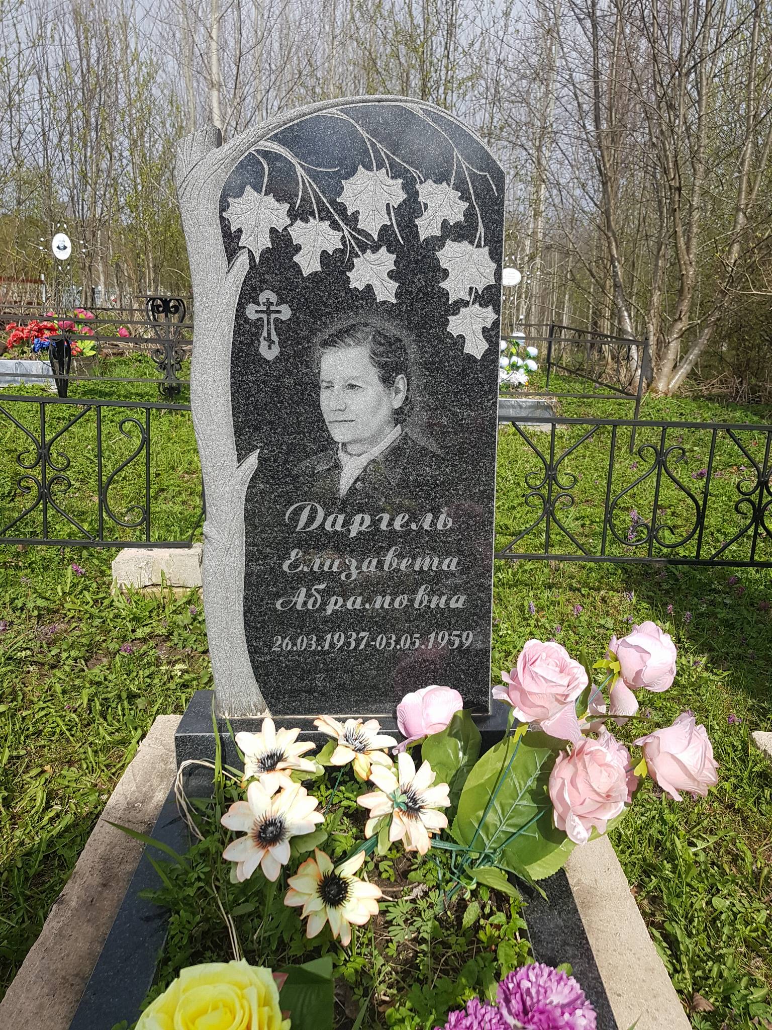 Даргель Елизавета Абрамовна