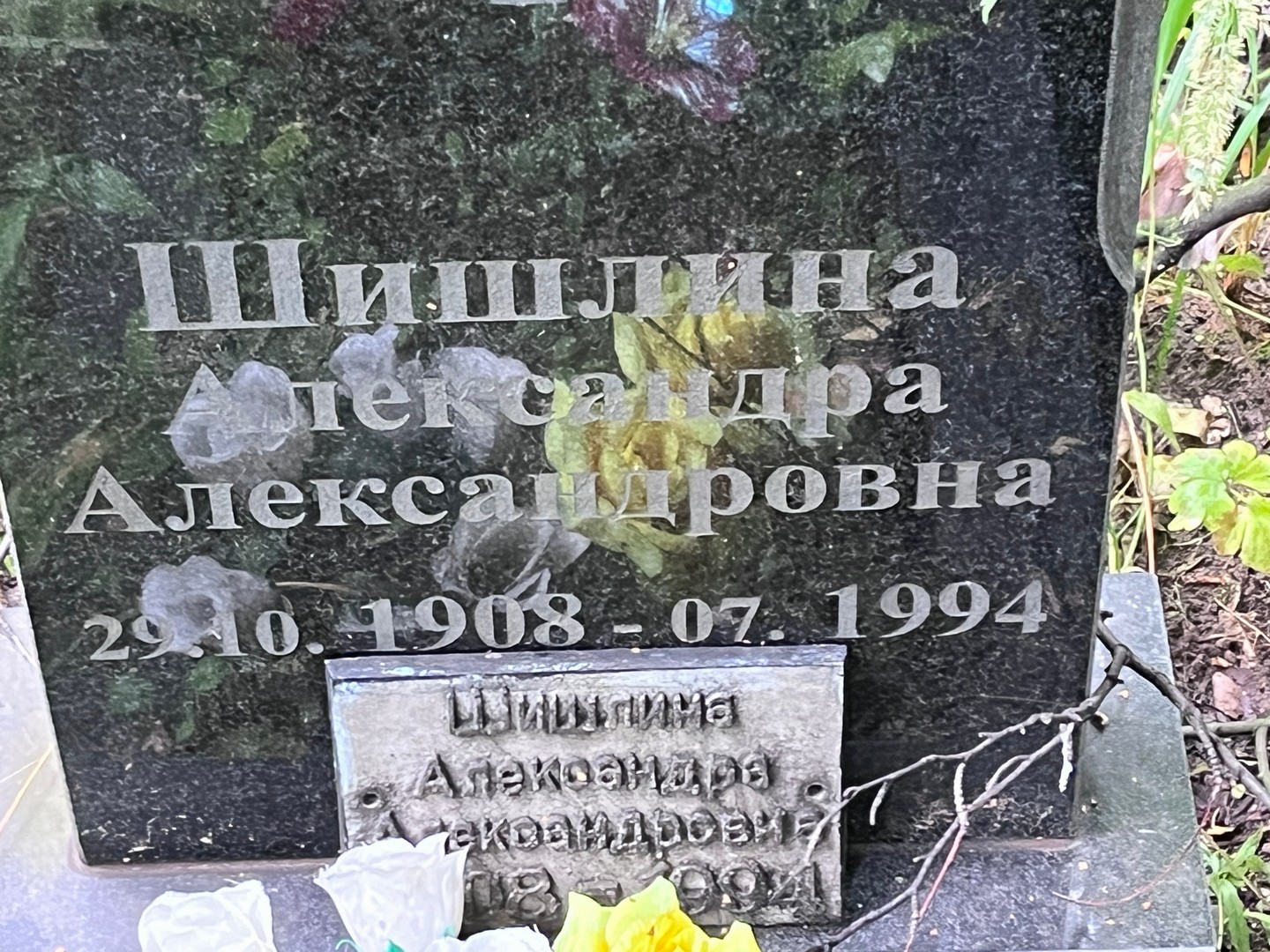 Шишлина Александра Александровна