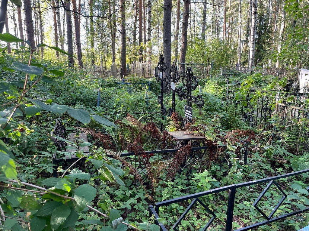 Парамонов Алексей Петрович