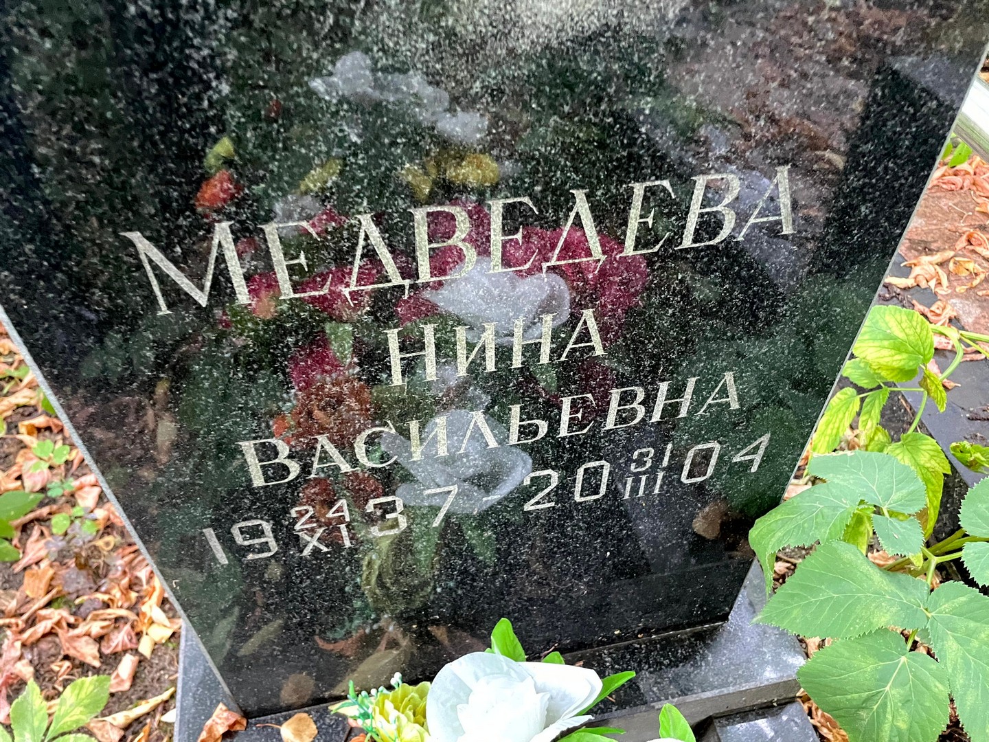 Медведева