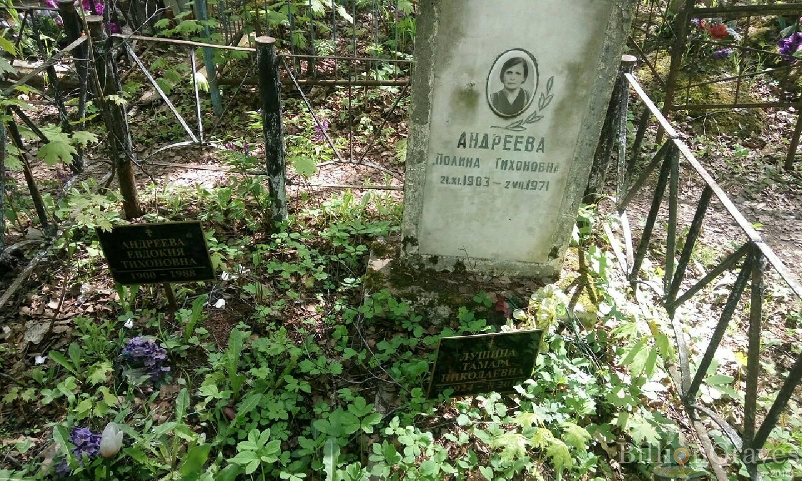 андреева полина тихоновна