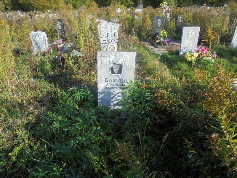 Бахчев Александр Викторович