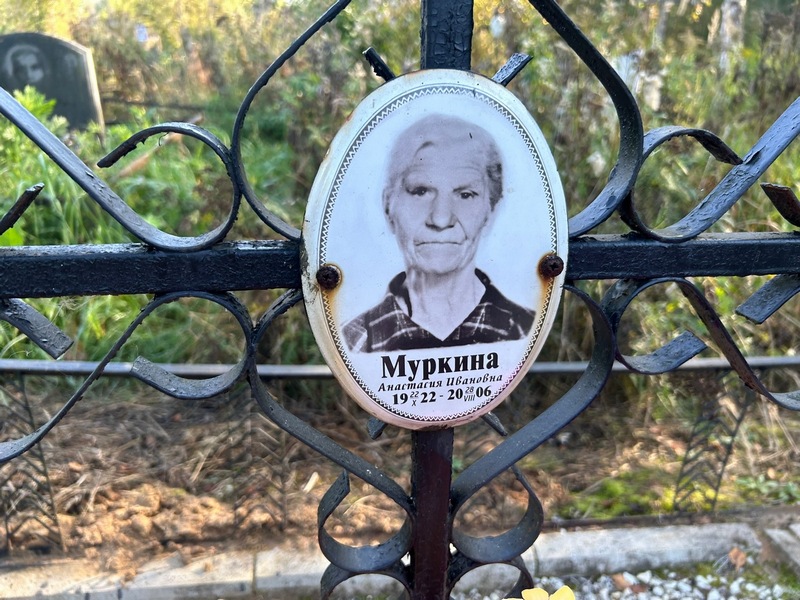 Муркина Анастасия Ивановна
