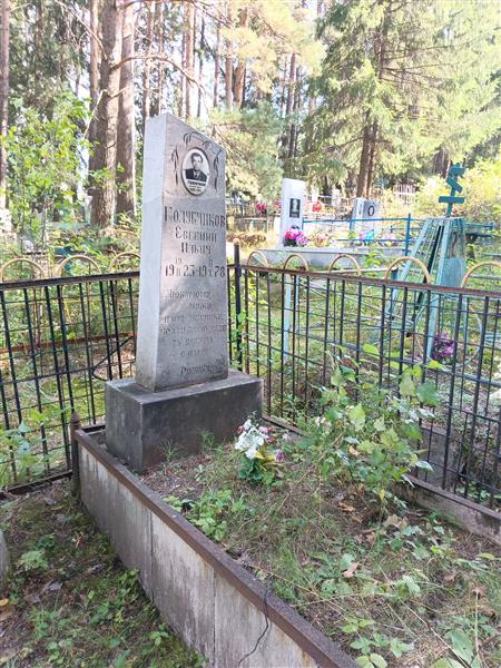 Голубчиков Евгений Ильич