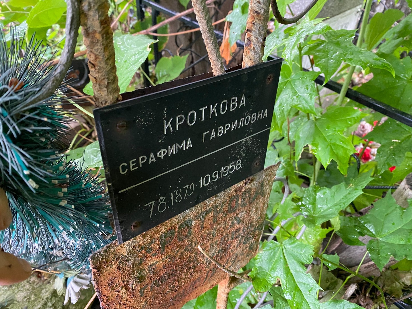 Серафима Кроткова Гавриловна