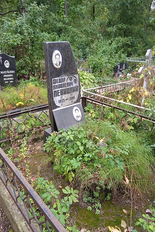 Левицкий Федор Яковлевич