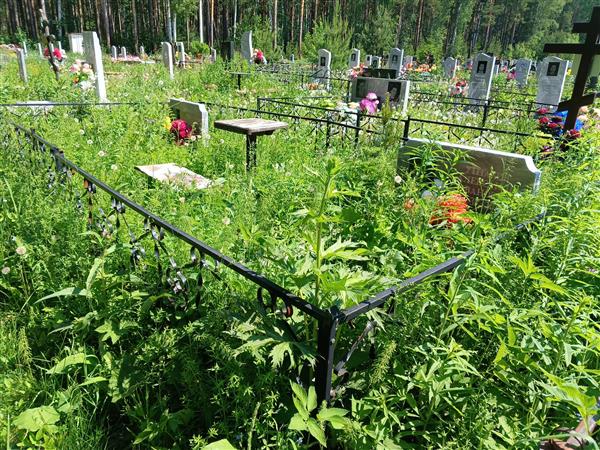 Ушаков Иван Александрович