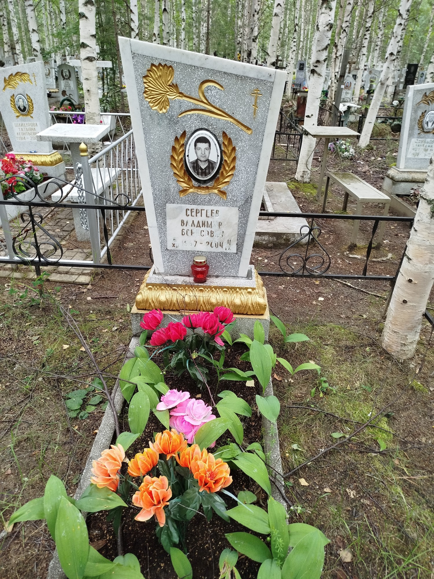Сергеев Владимир Борисович