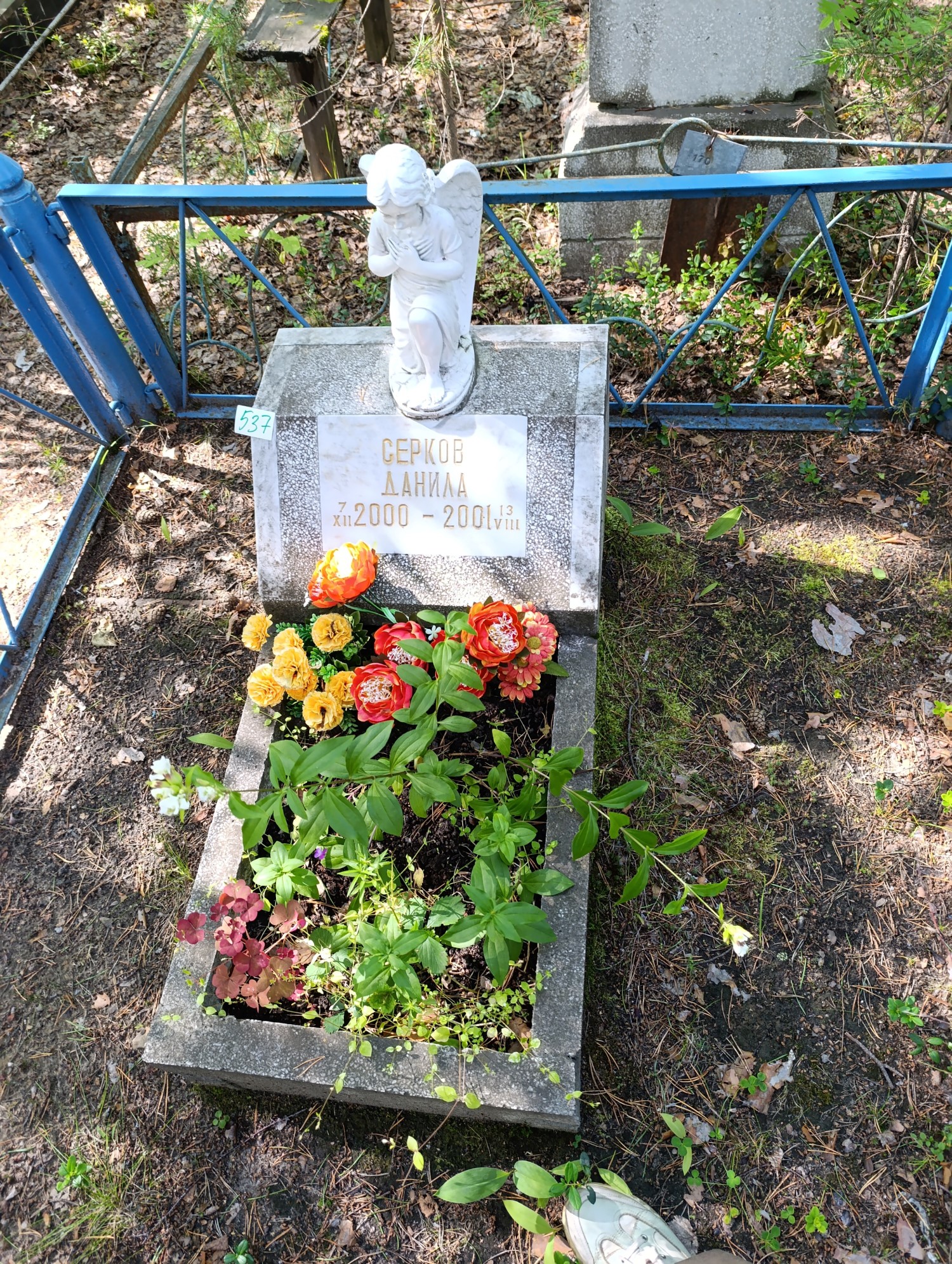 Серков Данил