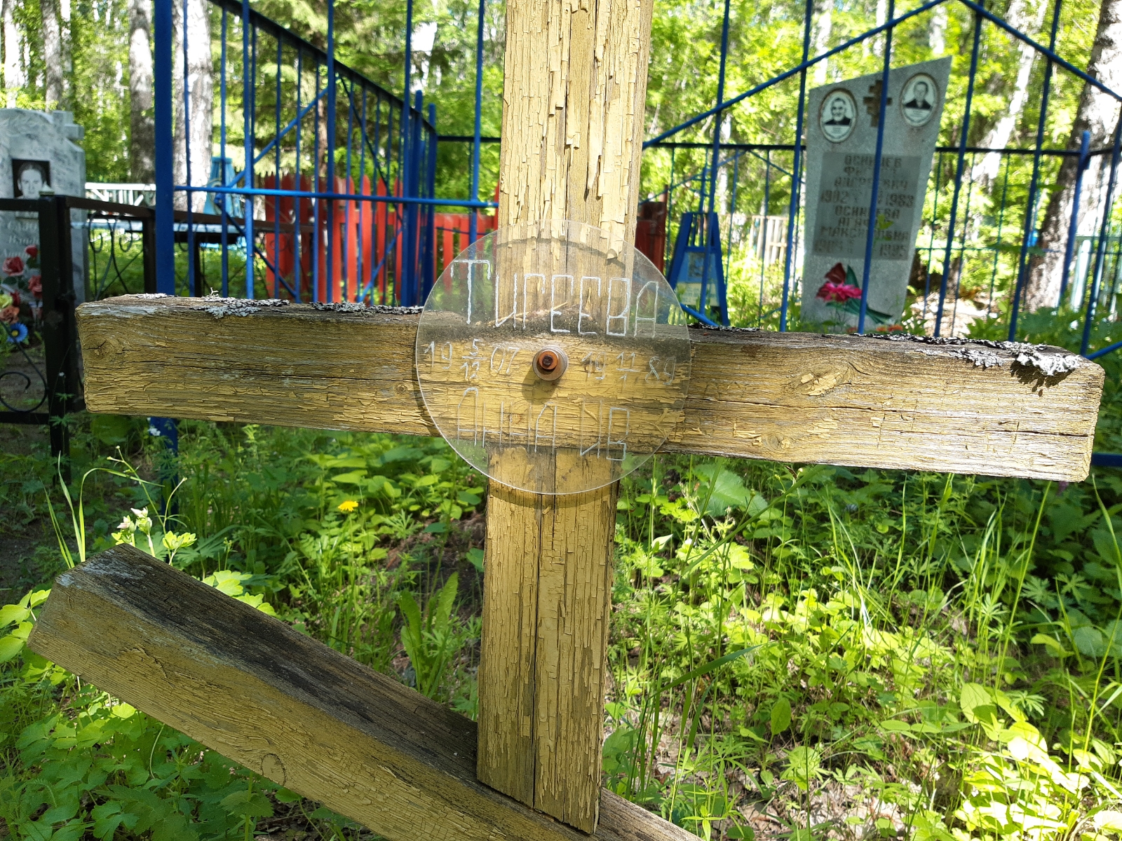 Тигеева Анна Ив.