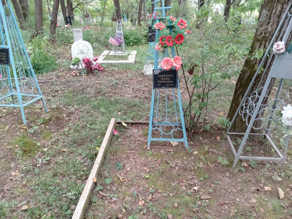 Каменная Татьяна Григорьевна