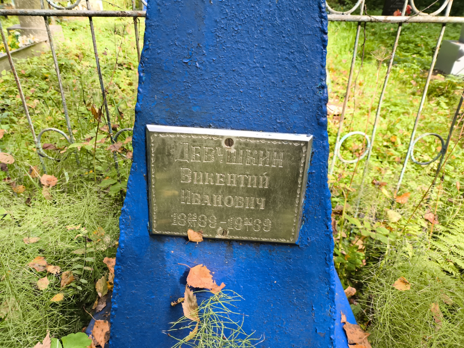 Девушкин Викентий Иванович