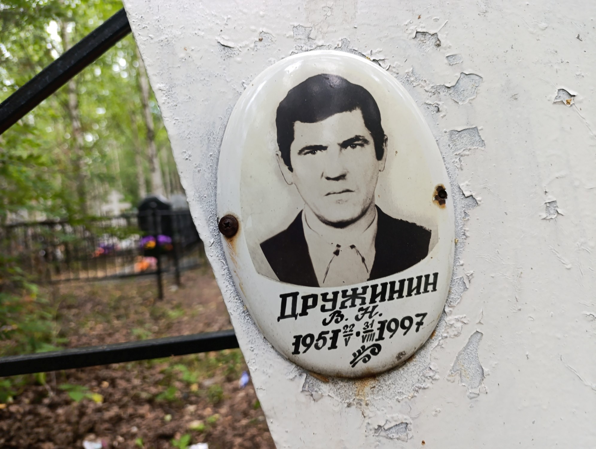 Дружинин В Н