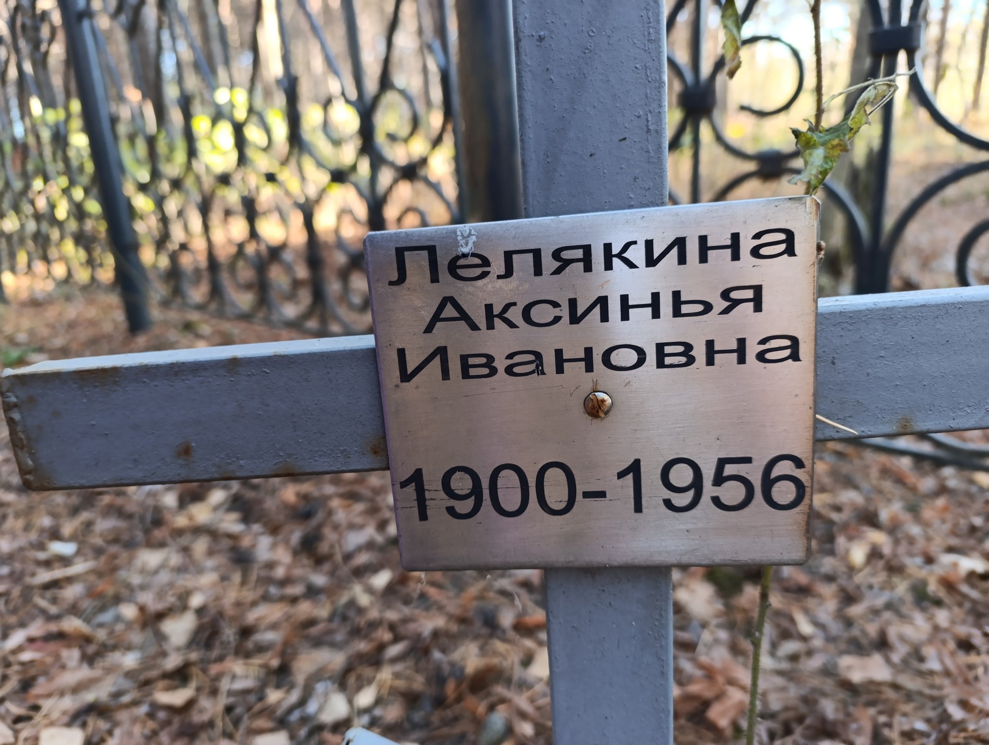Лелякина Аксинья Ивановна