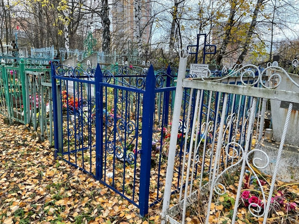 Торунова Анна Андреевна