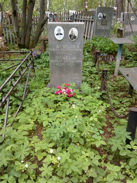 Шемелин Василий Михайлович