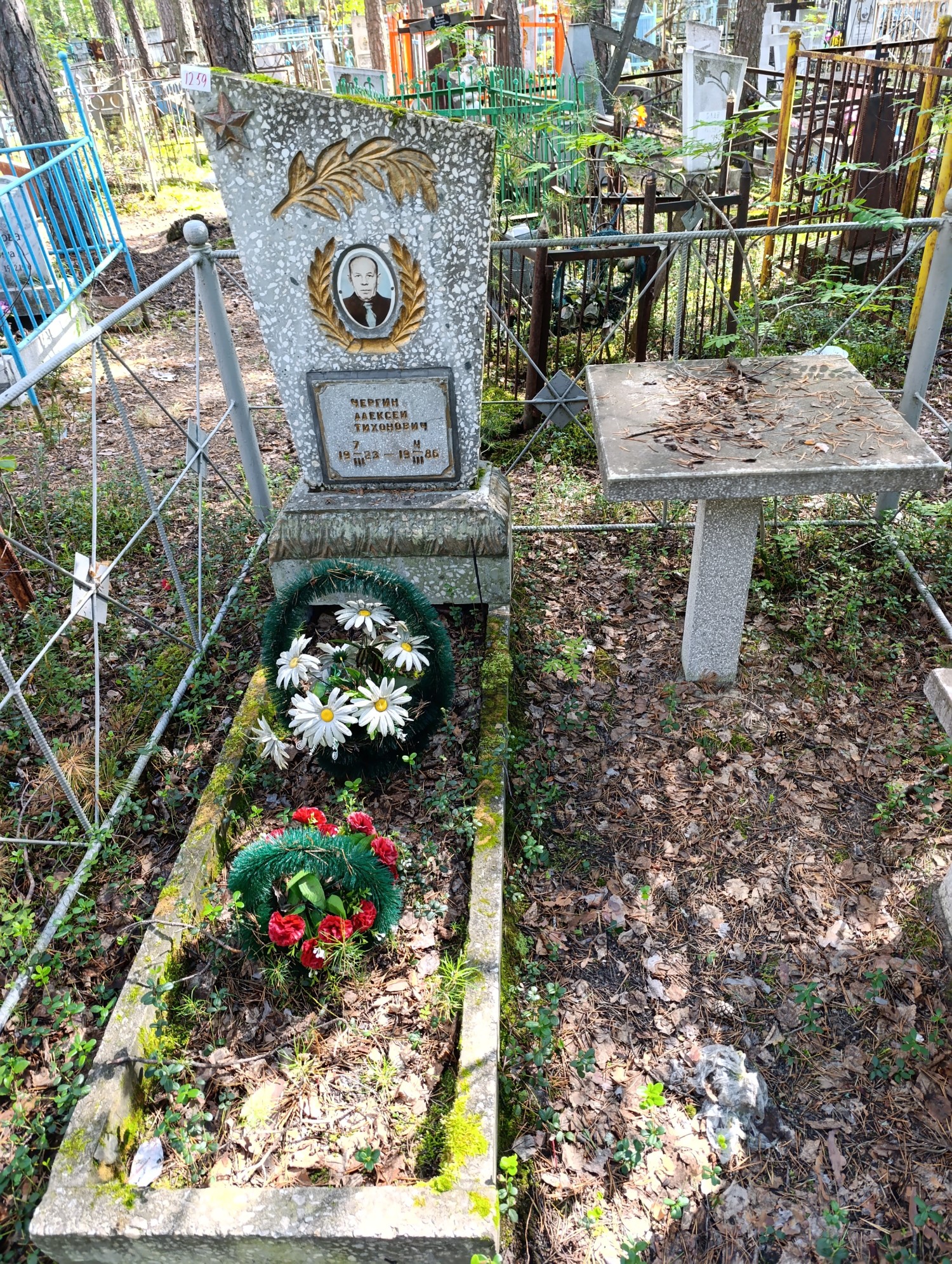 Чергин Алексей Тихонович