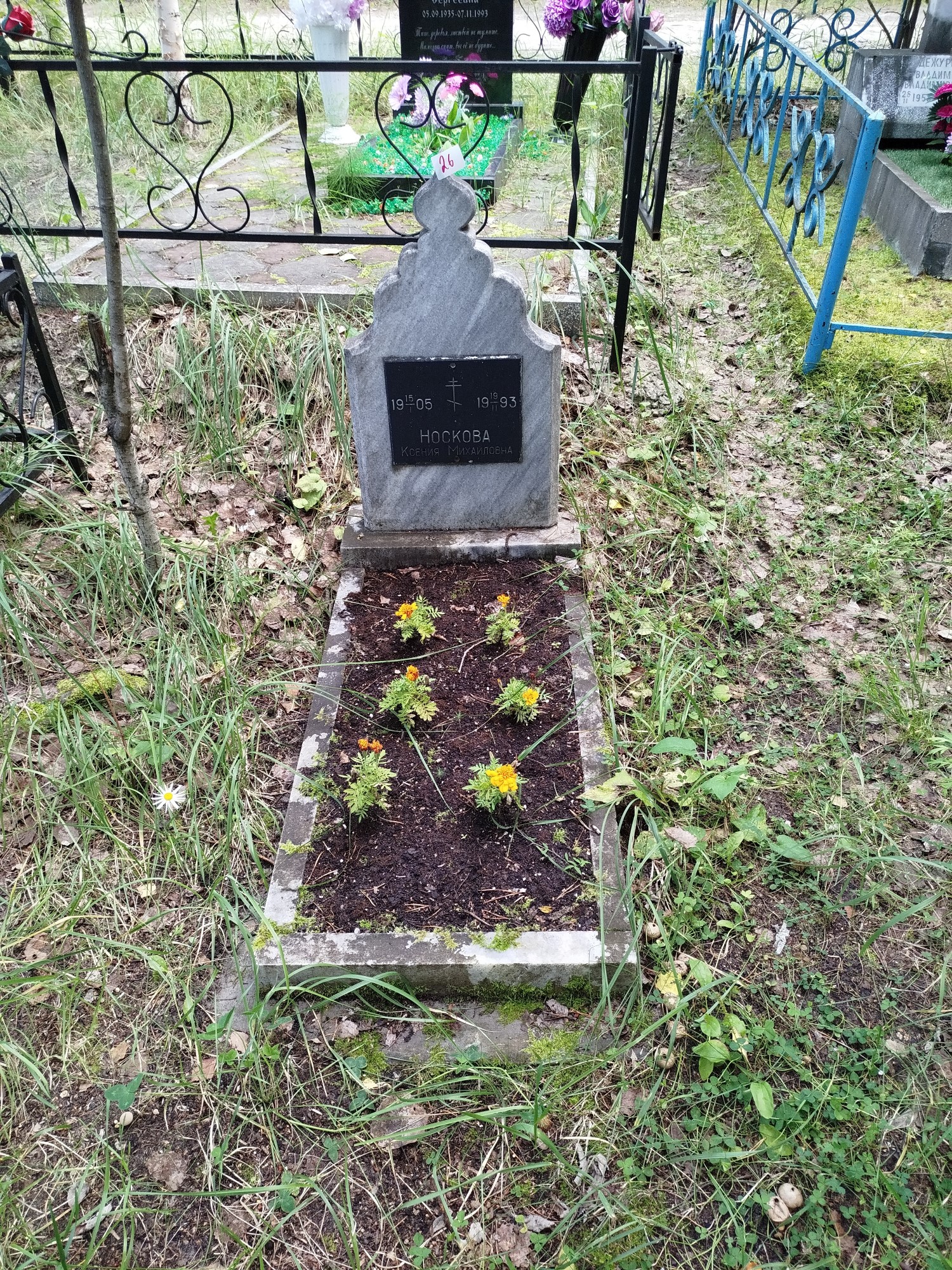 Носкова Ксения Михайловна