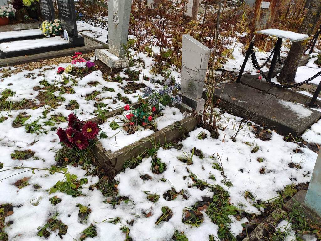Соснина Любовь