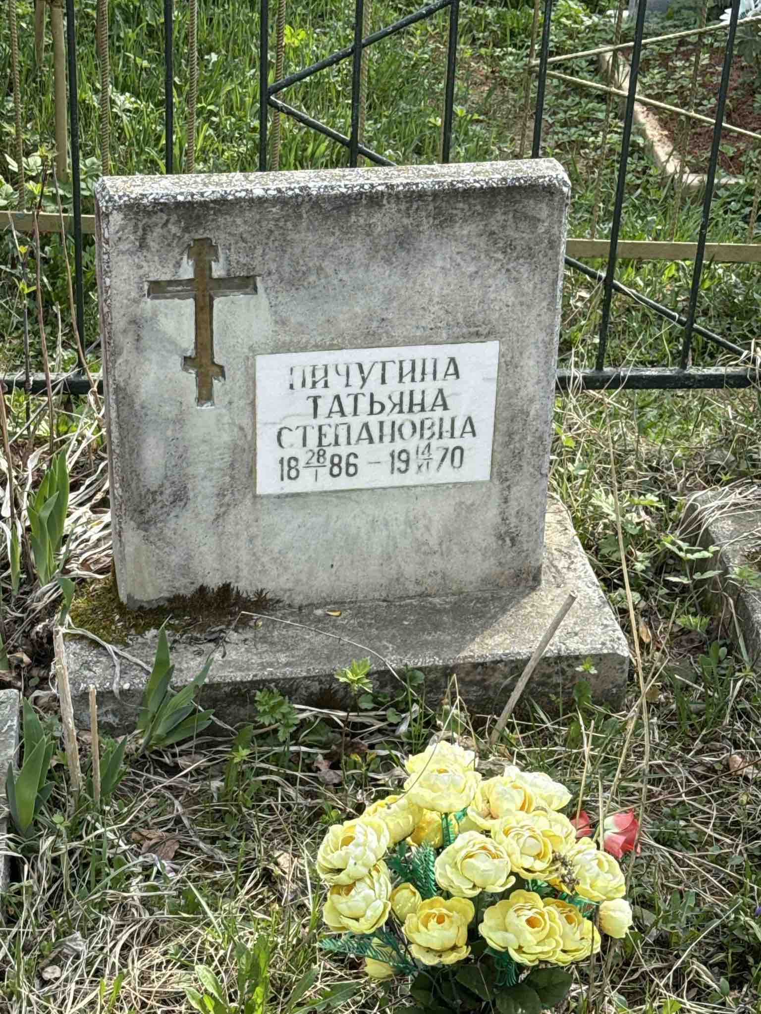 Пичугина Татьяна Степановна